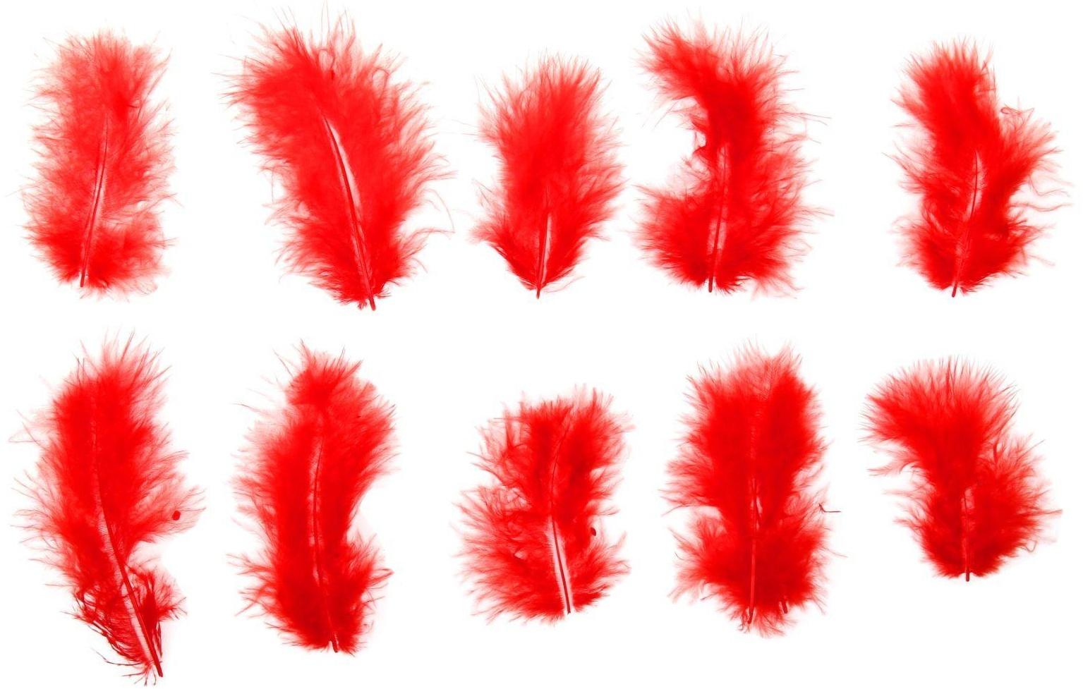Набор перьев для декора 10 шт., размер 1 шт: 10 × 2 см, цвет красный