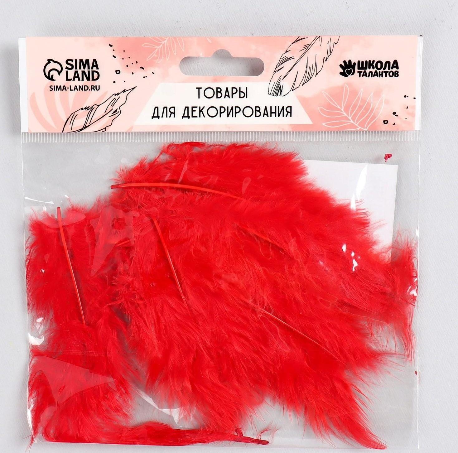 Набор перьев для декора 10 шт., размер 1 шт: 10 × 2 см, цвет красный