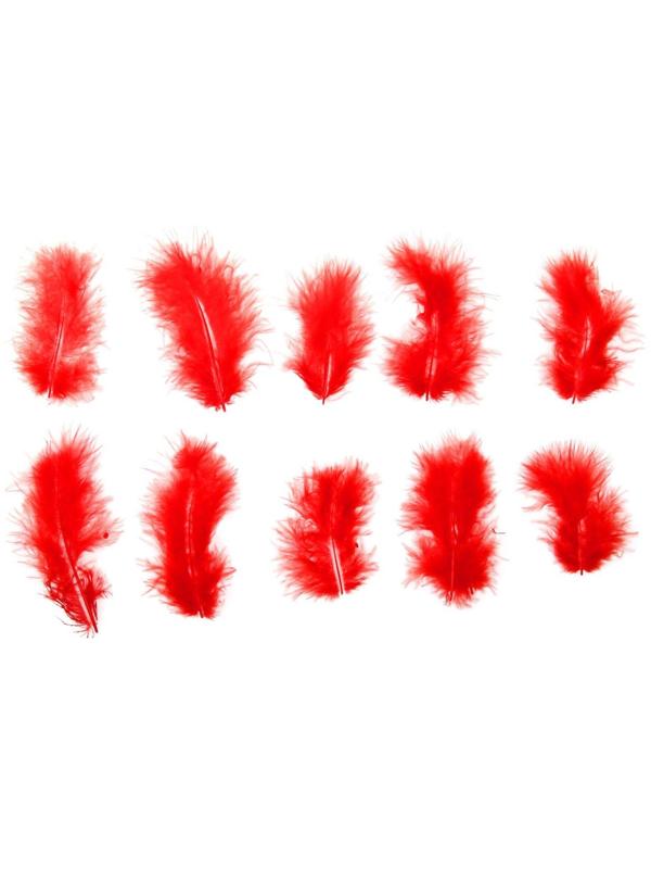 Набор перьев для декора 10 шт., размер 1 шт: 10 × 2 см, цвет красный