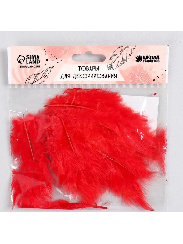 Набор перьев для декора 10 шт., размер 1 шт: 10 × 2 см, цвет красный