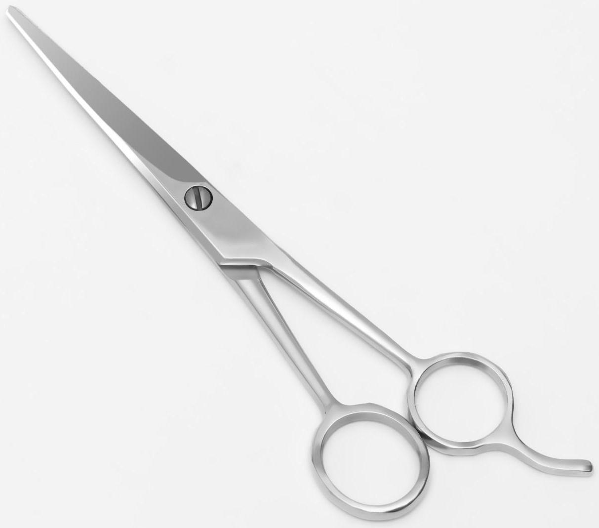 Ножницы парикмахерские с упором, лезвие — 6,5 см, цвет серебристый
