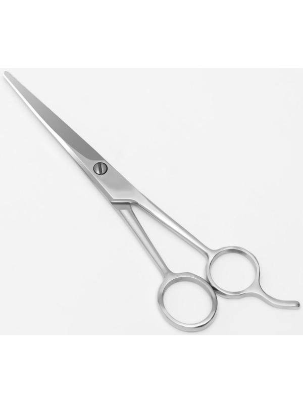 Ножницы парикмахерские с упором, лезвие — 6,5 см, цвет серебристый