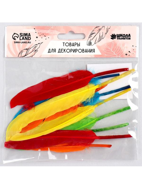 Набор перьев для декора 10 шт., размер 1 шт: 15 × 1,5 см, цвета МИКС