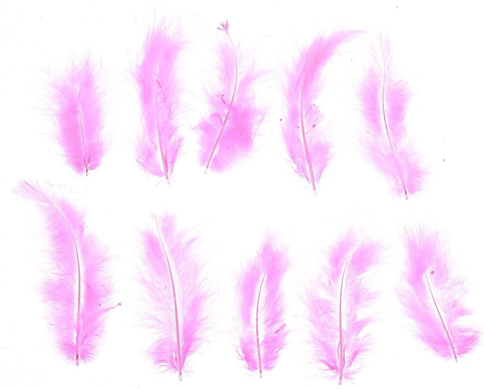 Набор перьев для декора 10 шт., размер 1 шт: 10 × 2 см, цвет розовый