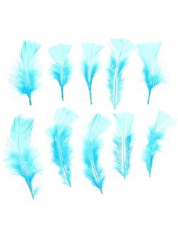 Набор перьев для декора 10 шт., размер 1 шт: 10 × 4 см, цвет голубой