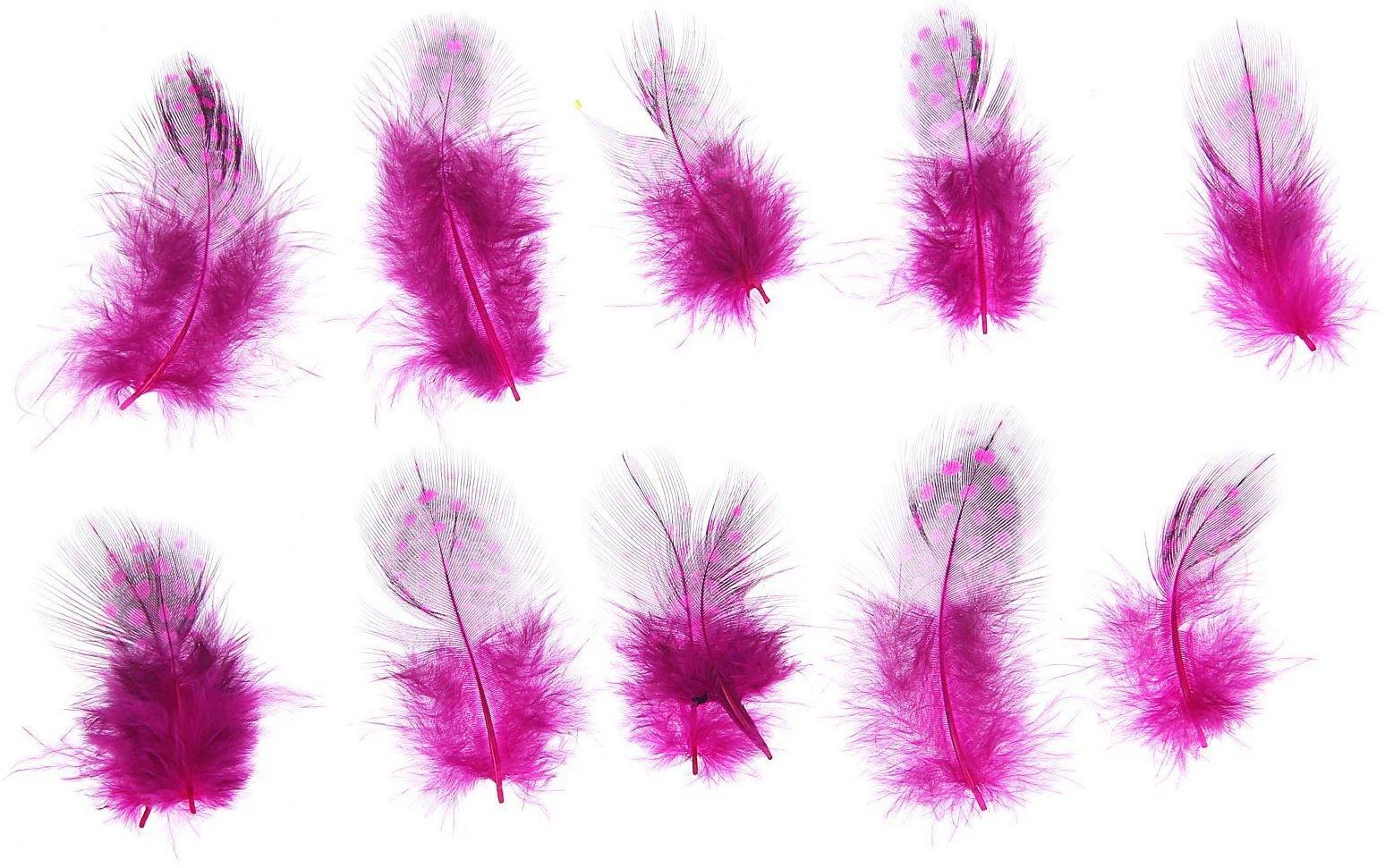 Набор перьев для декора 10 шт., размер 1 шт: 5 × 2 см, цвет розовый с чёрным