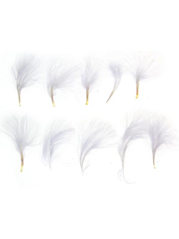 Набор перьев для декора 10 шт., размер 1 шт: 7 × 7 см, цвет белый