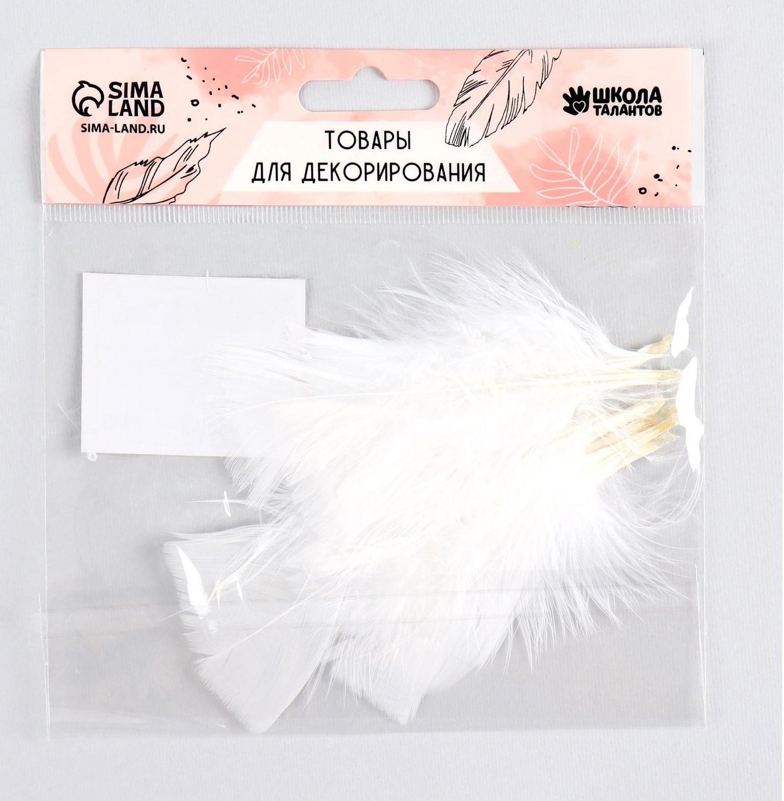 Набор перьев для декора 10 шт., размер 1 шт: 10 × 4 см, цвет белый