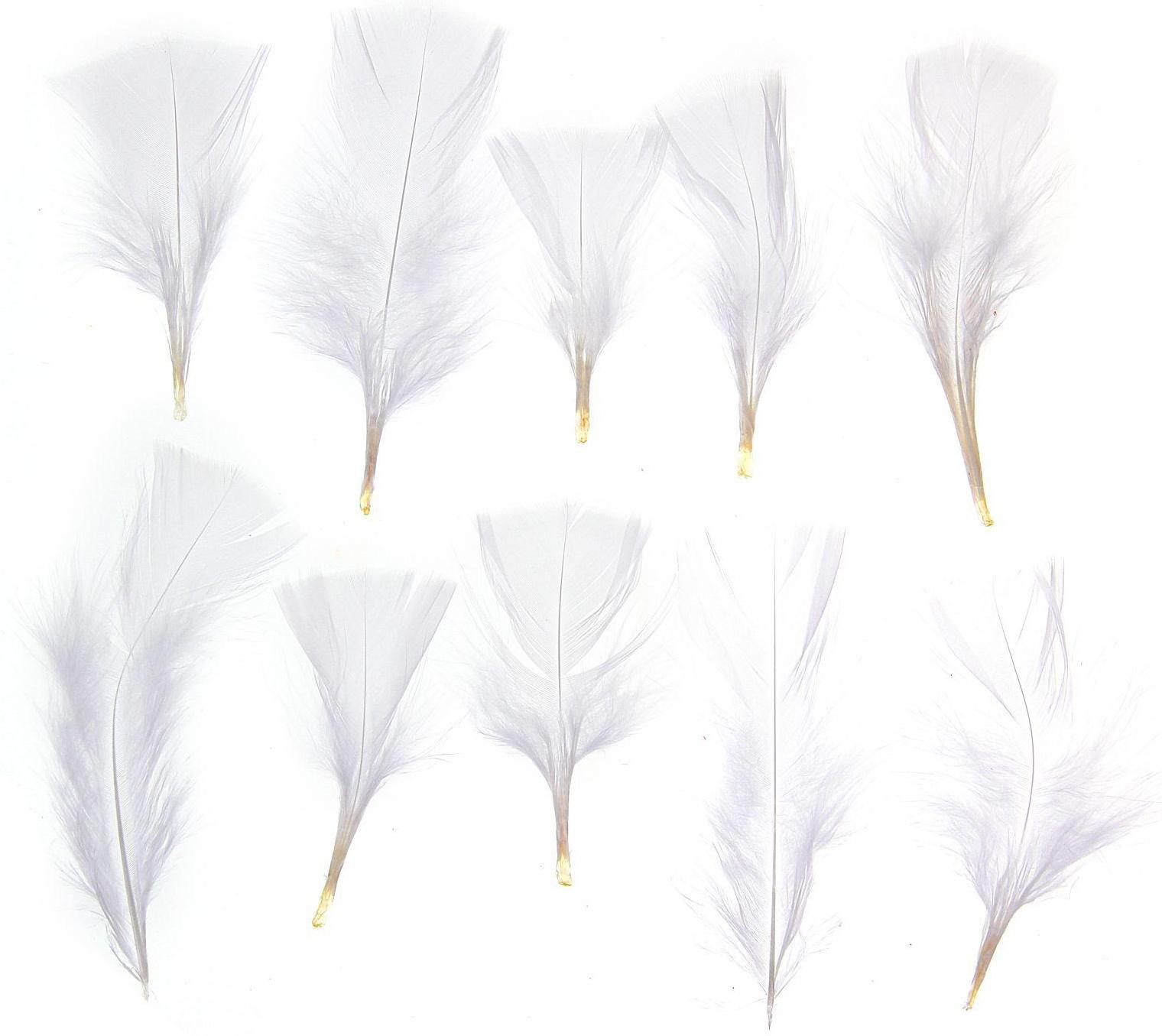 Набор перьев для декора 10 шт., размер 1 шт: 10 × 4 см, цвет белый