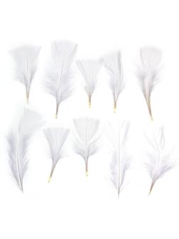 Набор перьев для декора 10 шт., размер 1 шт: 10 × 4 см, цвет белый
