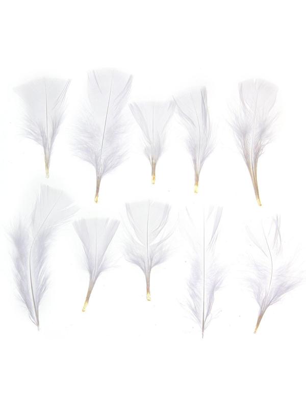 Набор перьев для декора 10 шт., размер 1 шт: 10 × 4 см, цвет белый