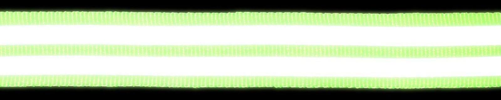 Светоотражающая лента-стропа, 20 мм, 5 ± 1 м, 2 полосы, цвет салатовый