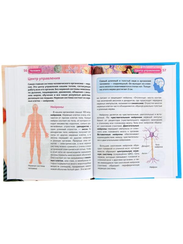 Детская энциклопедия «Человек»