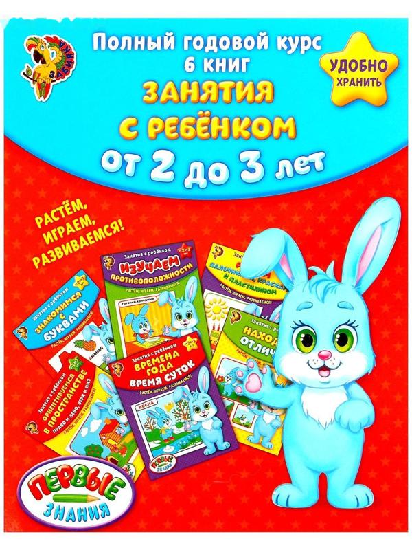 Обучающие книги «Полный годовой курс. Серия от 2 до 3 лет», 6 книг по 16 стр., в папке