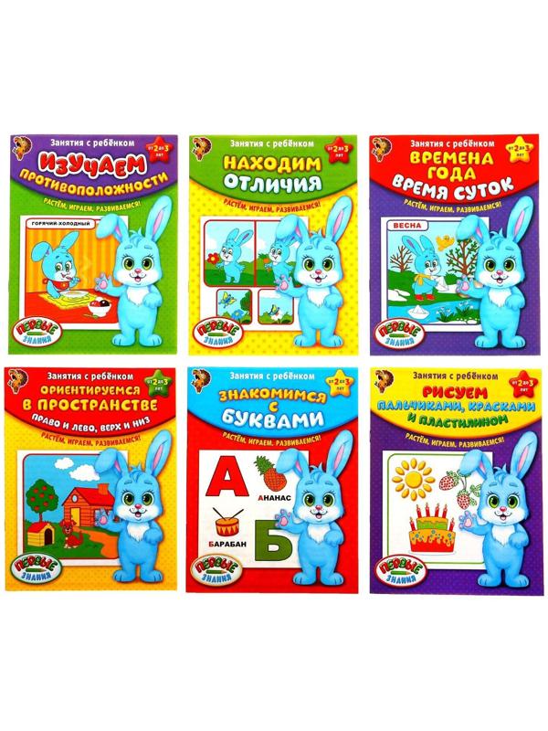 Обучающие книги «Полный годовой курс. Серия от 2 до 3 лет», 6 книг по 16 стр., в папке
