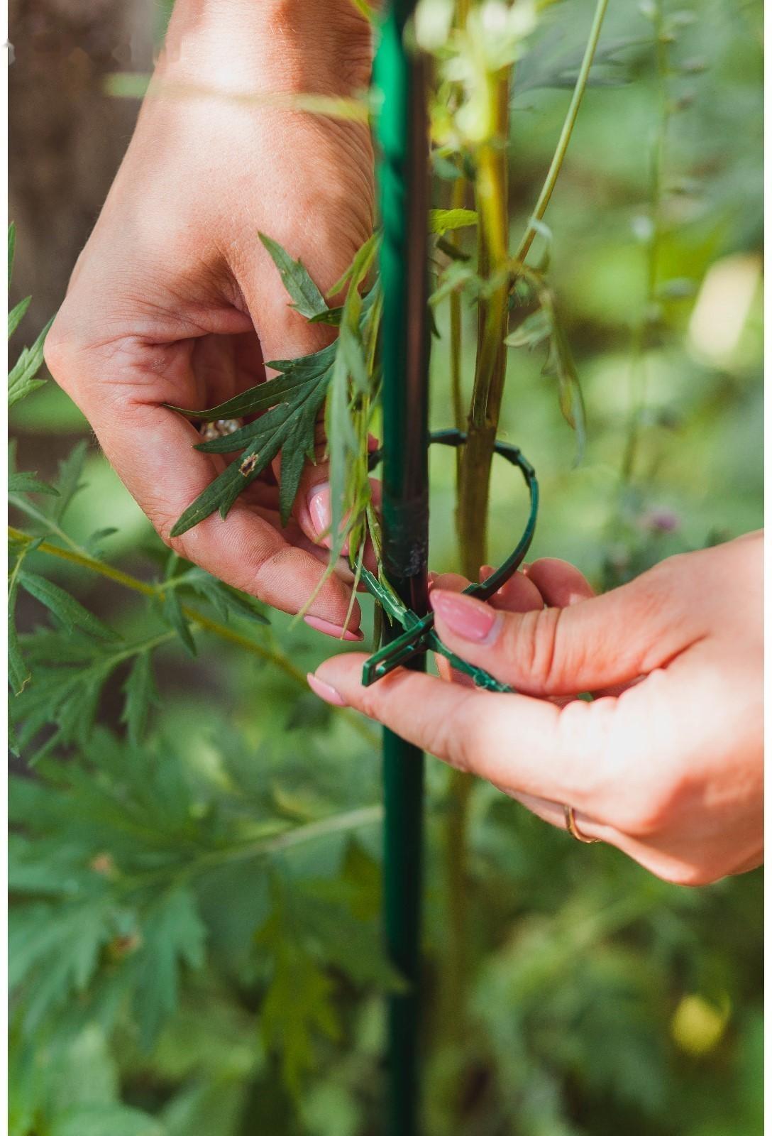 Подвязки для растений, длина 23 см, набор 30 шт.