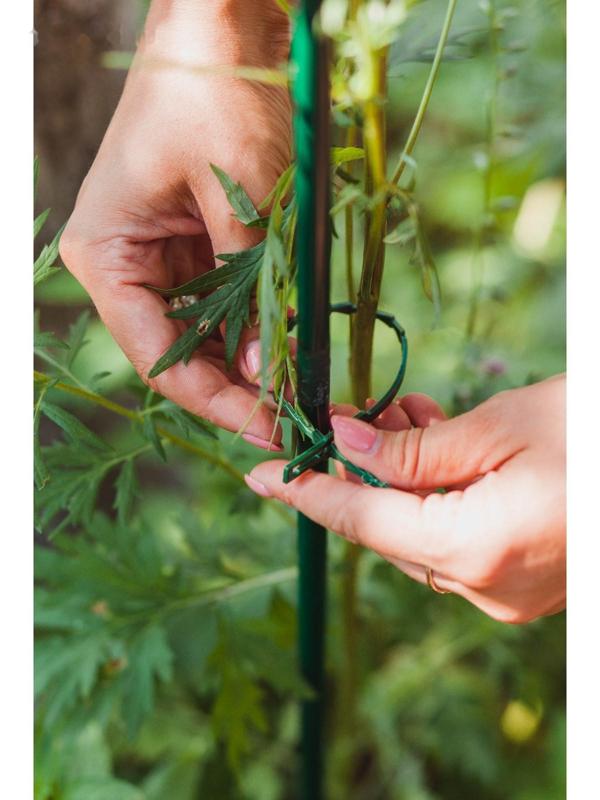 Подвязки для растений, длина 23 см, набор 30 шт.