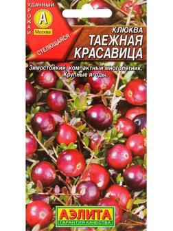 Семена Клюква крупноплодная 