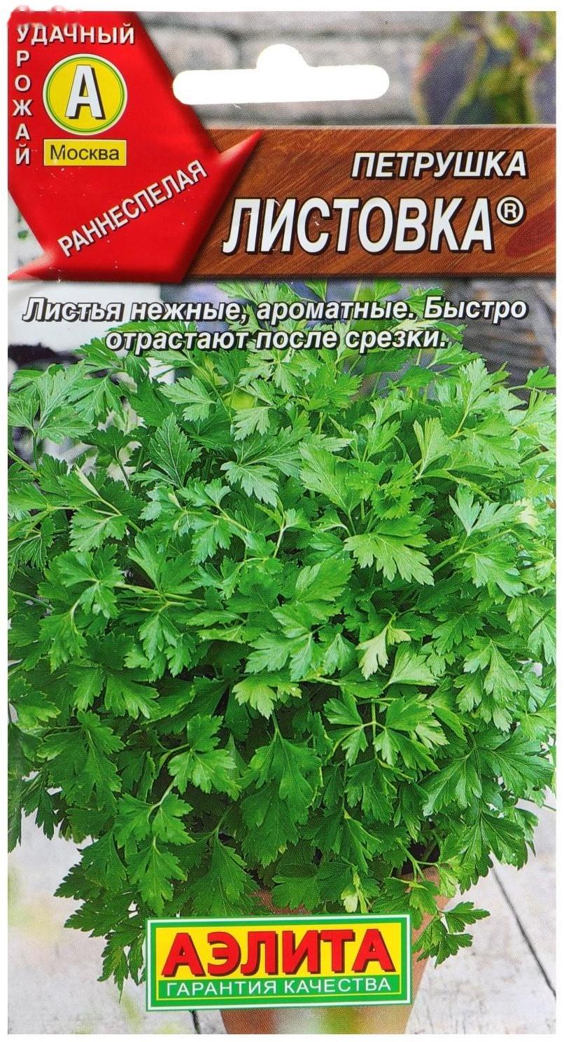 Семена Петрушка листовая 