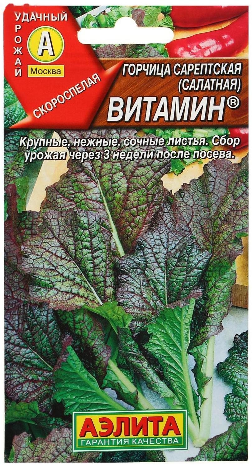 Семена  Горчица салатная 