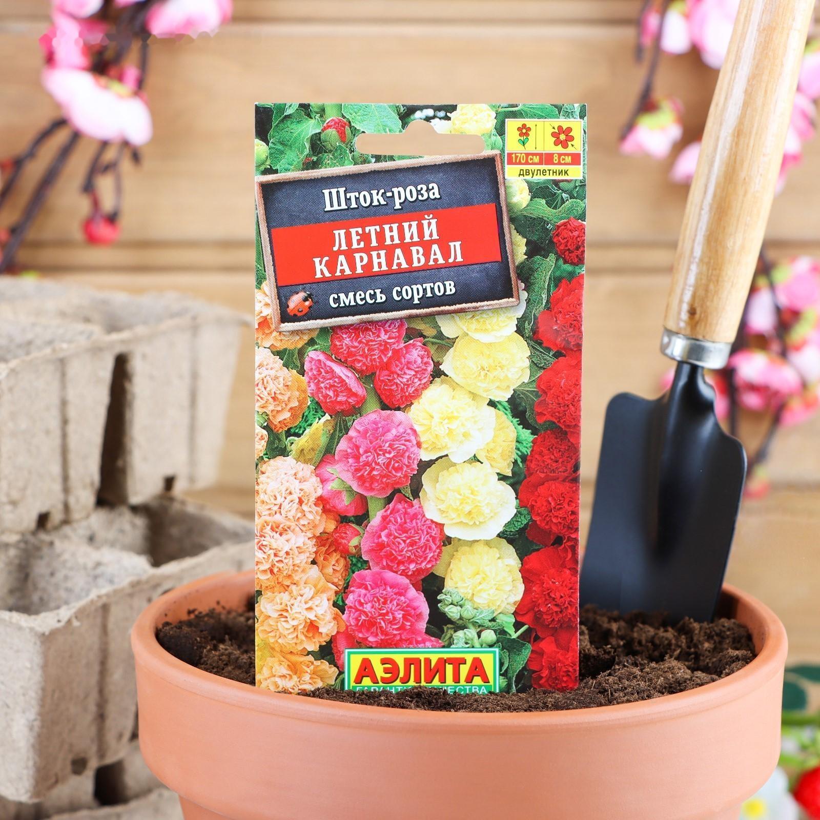 Семена цветов Шток-роза 