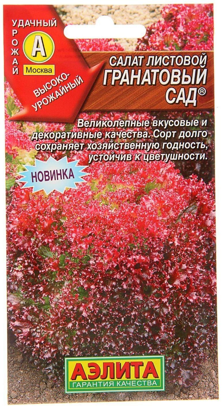 Семена  Салат 