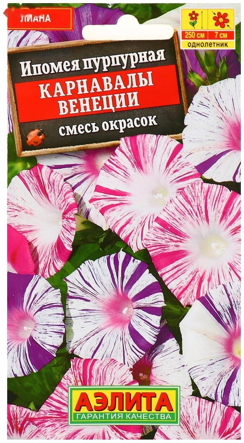 Семена цветов Ипомея 