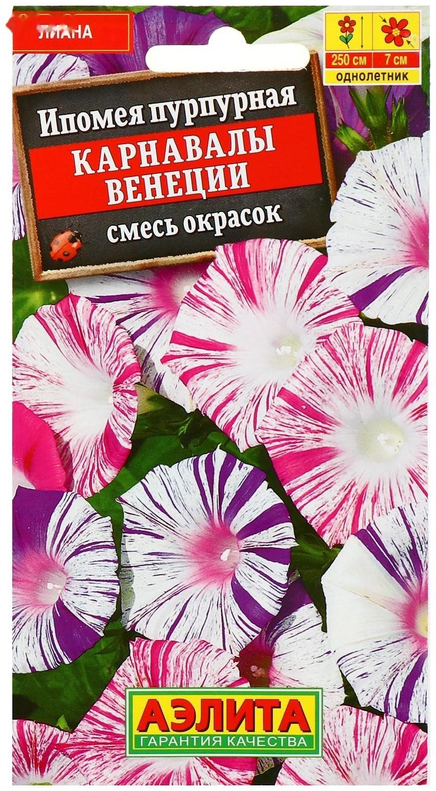 Семена цветов Ипомея 