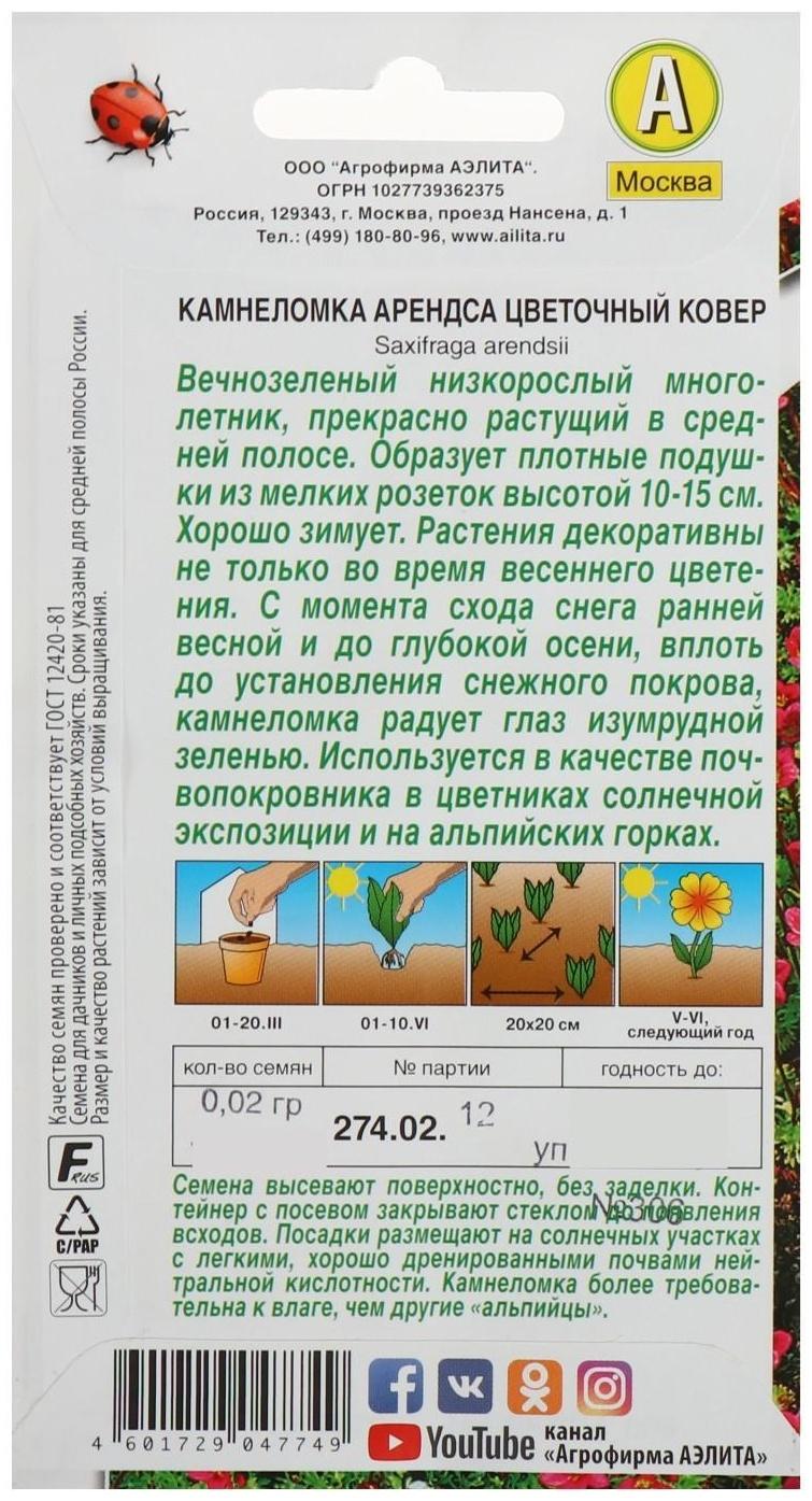 Семена цветов Камнеломка 