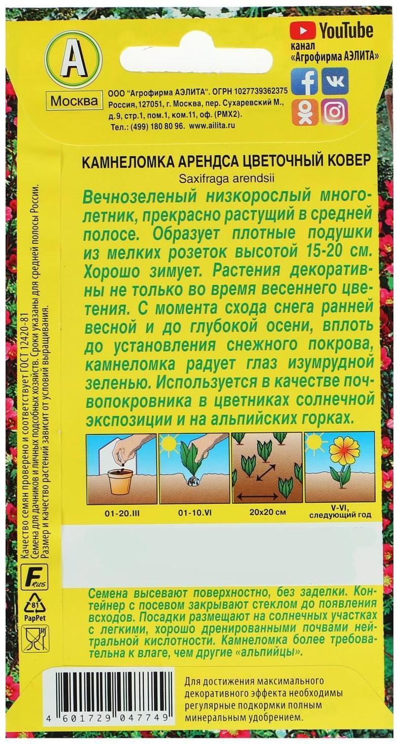 Семена цветов Камнеломка 