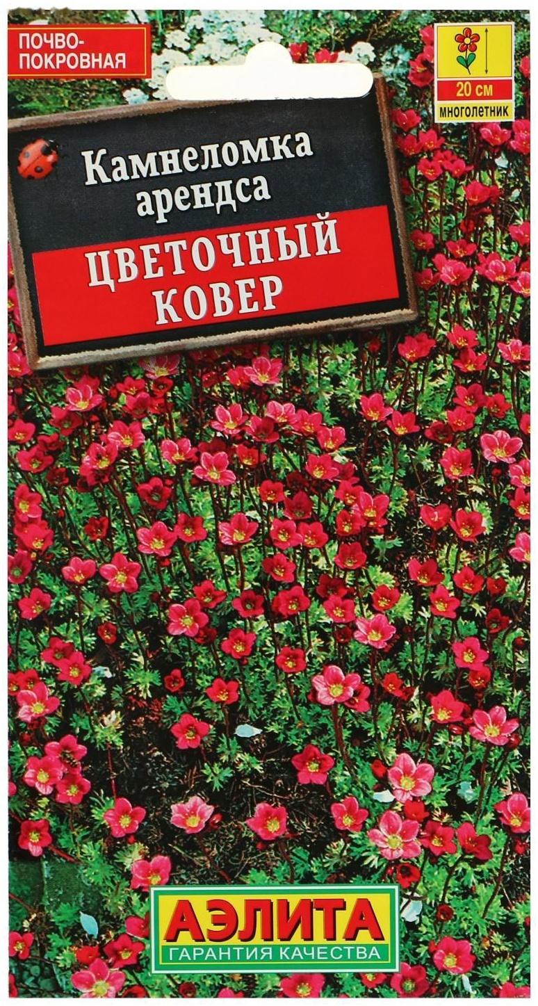 Семена цветов Камнеломка 