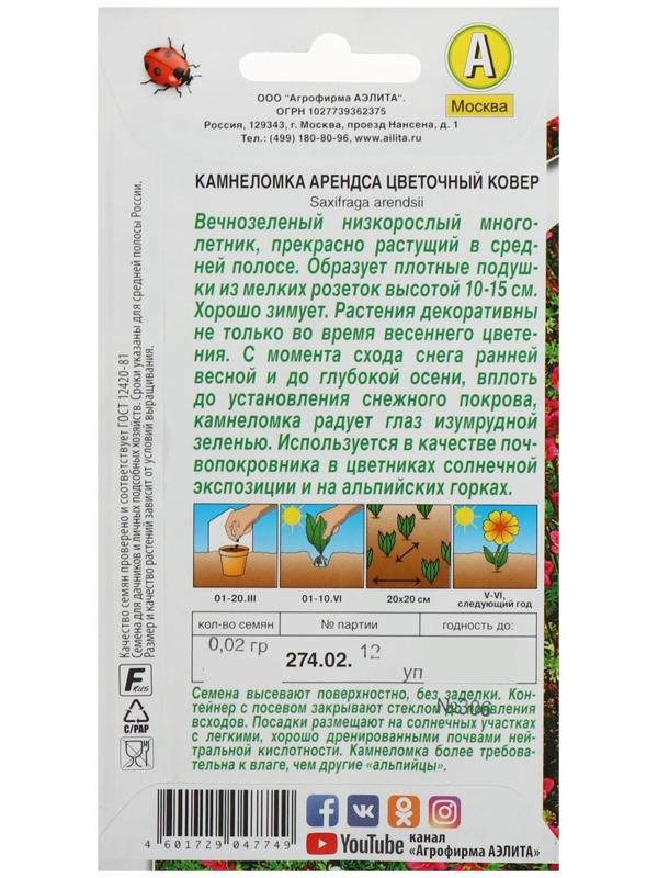 Семена цветов Камнеломка 