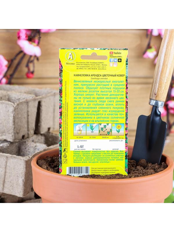 Семена цветов Камнеломка 