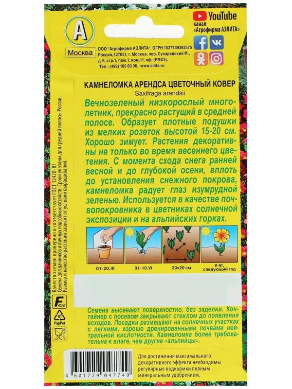 Семена цветов Камнеломка 