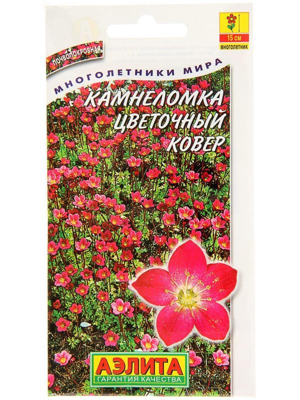 Семена цветов Камнеломка 