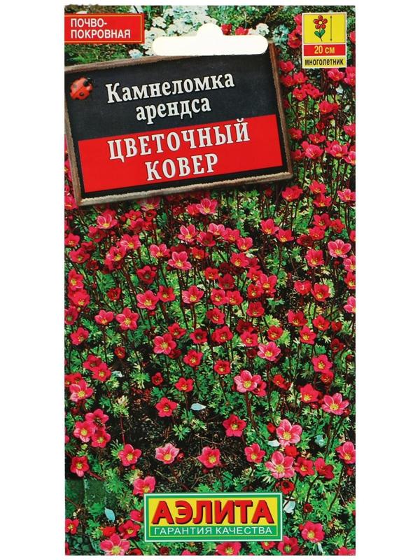 Семена цветов Камнеломка 