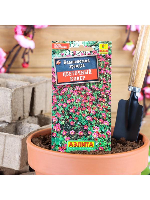 Семена цветов Камнеломка 