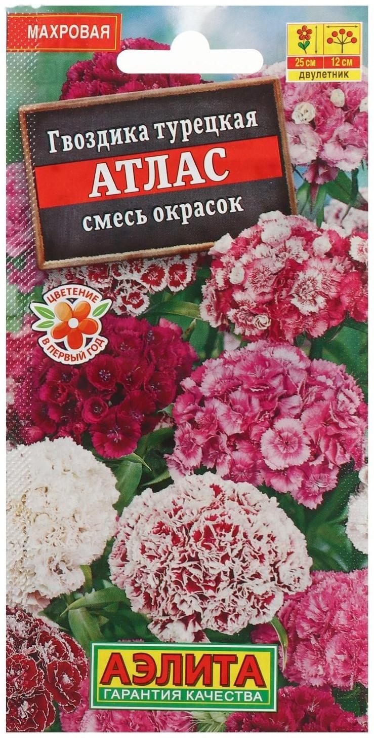 Семена цветов Гвоздика 