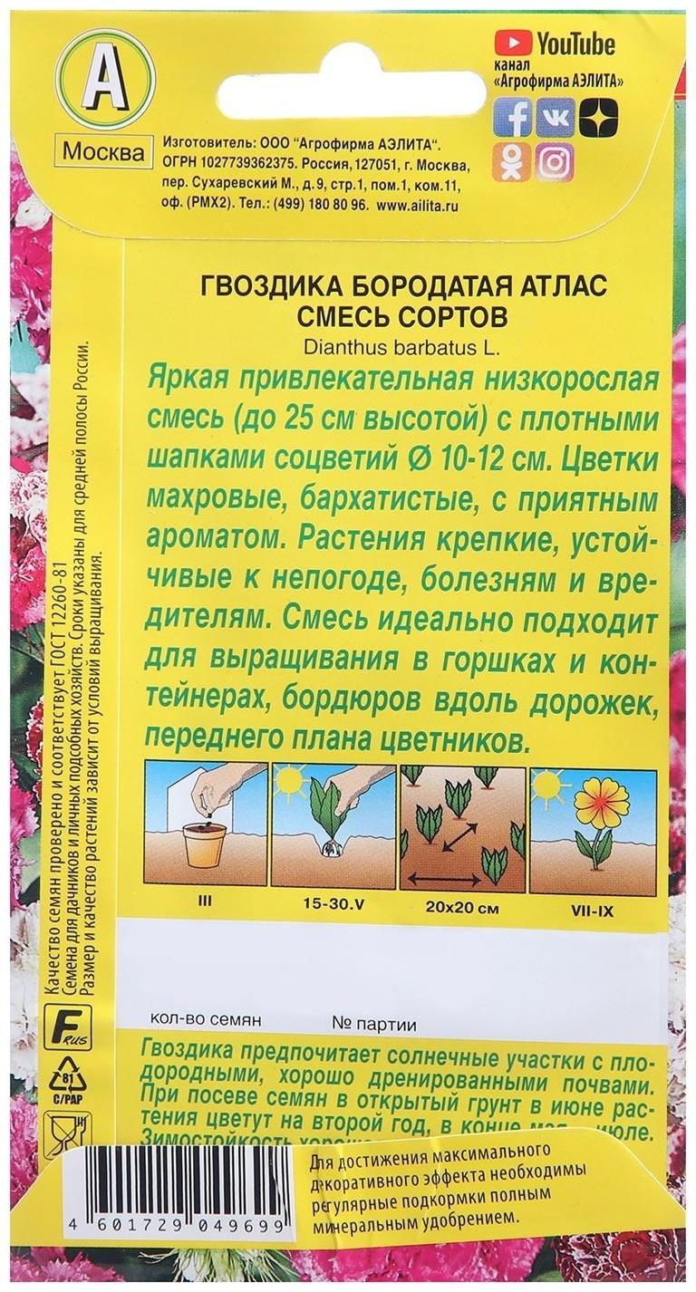 Семена цветов Гвоздика 