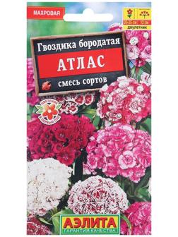 Семена цветов Гвоздика 