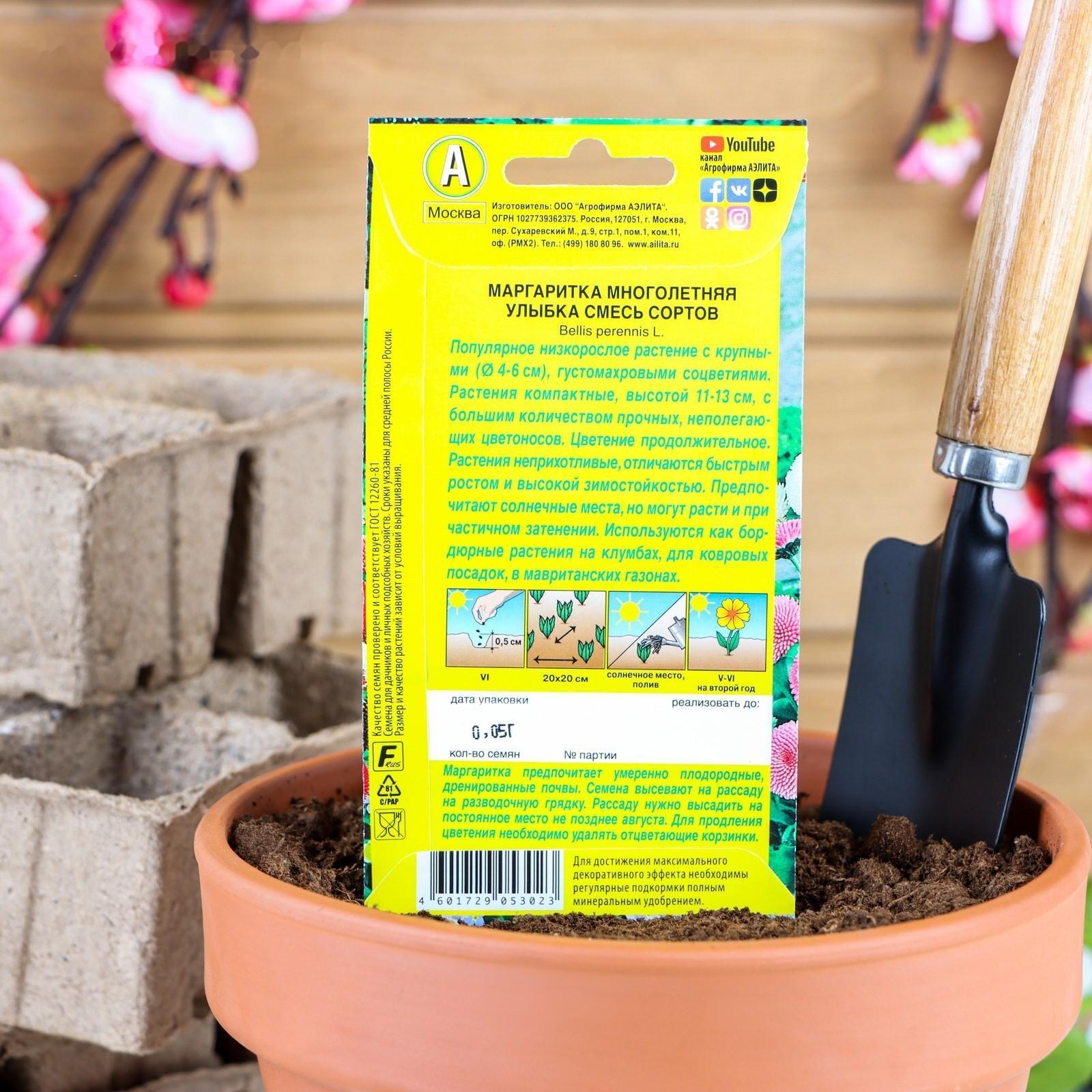 Семена цветов Маргаритка 