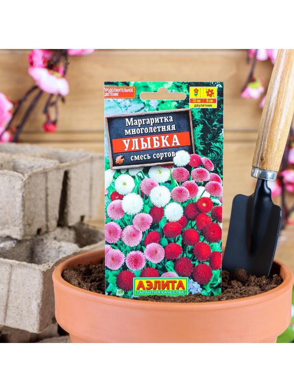 Семена цветов Маргаритка 