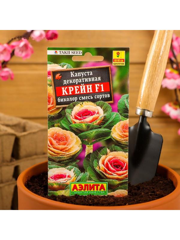 Семена цветов Капуста декоративная 