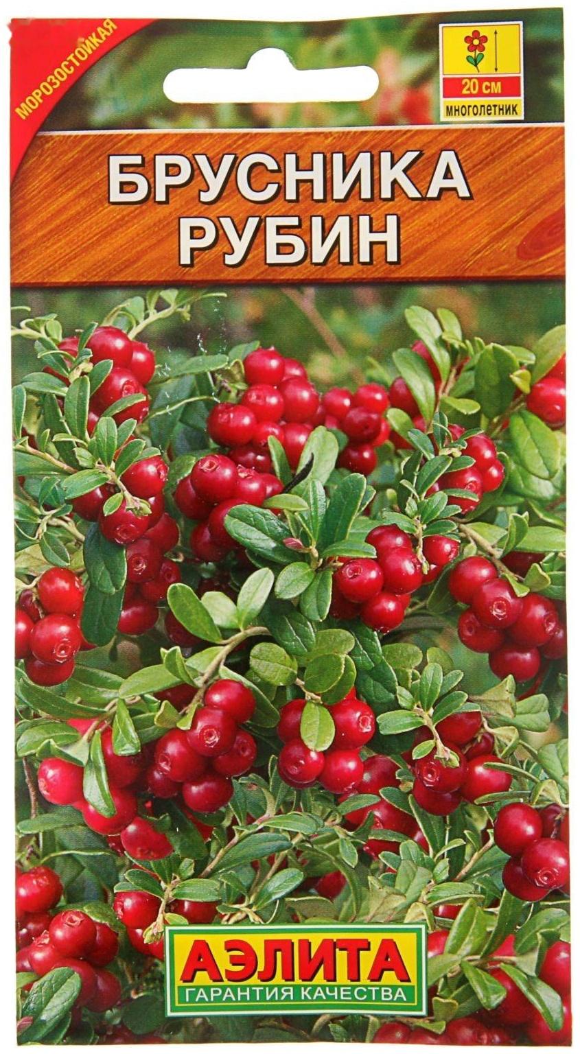 Семена Брусника 