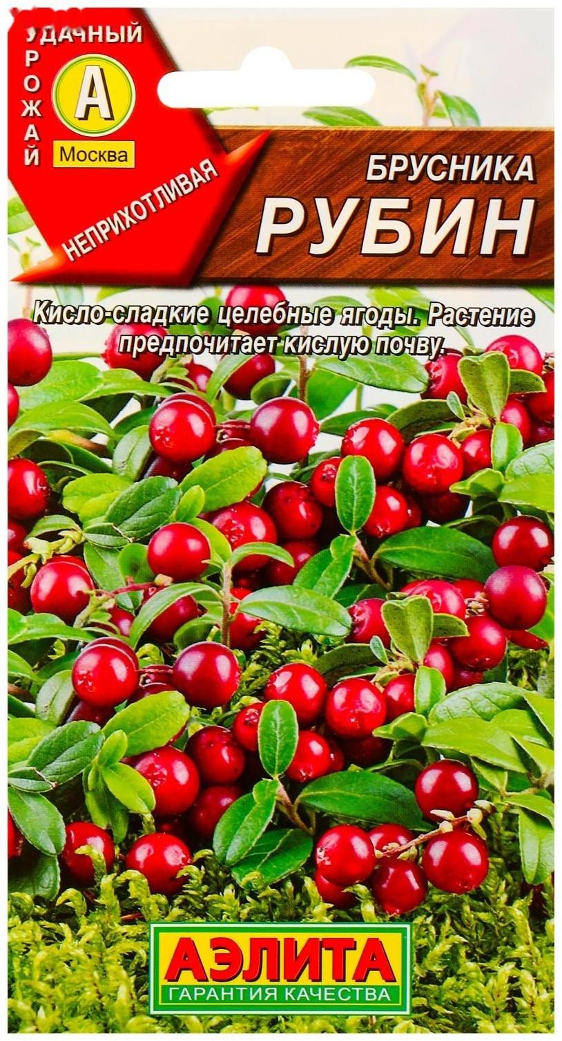 Семена Брусника 