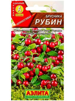 Семена Брусника 
