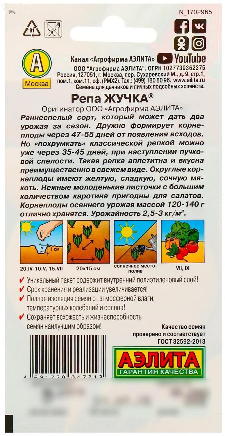 Семена Репа 