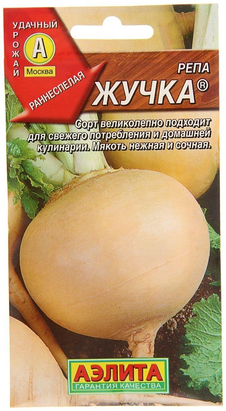 Семена Репа 