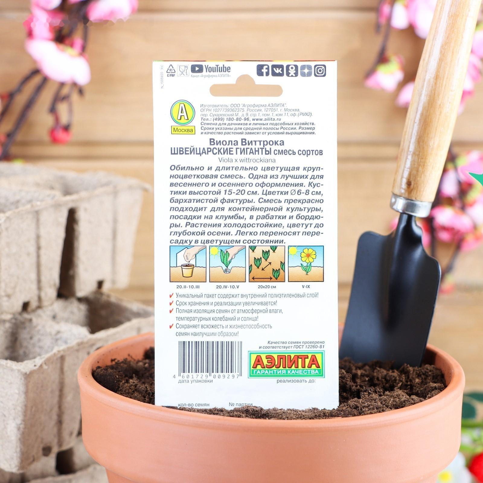 Семена цветов Виола 