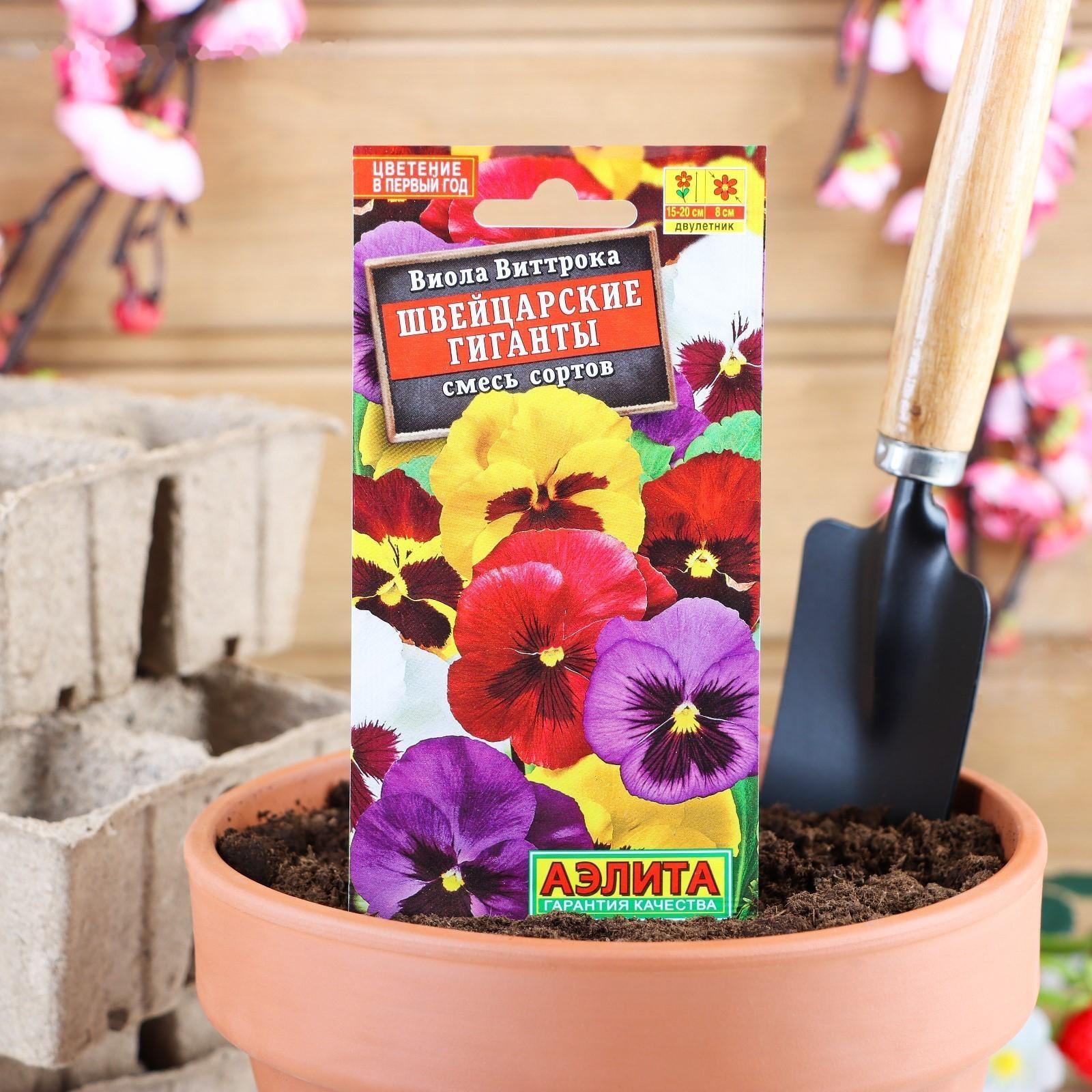 Семена цветов Виола 